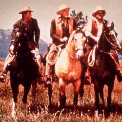 Bonanza